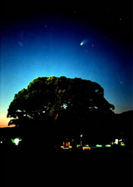 ヘールボップ彗星